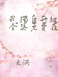我独自升级动漫全集免费在线观看