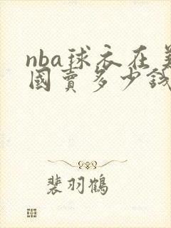 nba球衣在美国卖多少钱