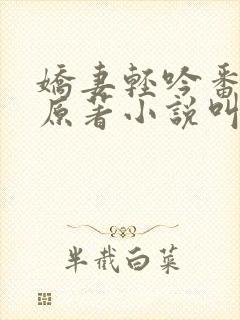 娇妻轻吟番外篇原著小说叫什么