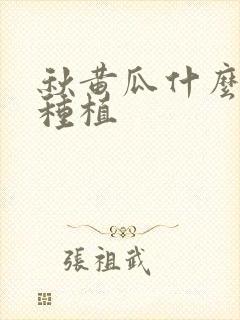 秋黄瓜什么时间种植