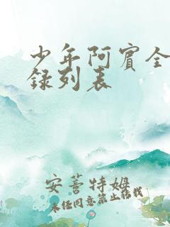 少年阿宾全文目录列表