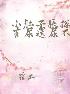 小肚子胀总感觉有尿还尿不出来多点
