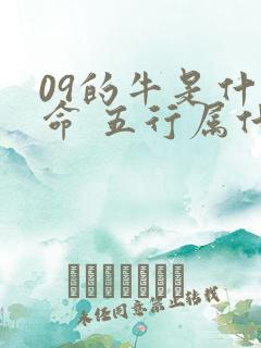 09的牛是什么命 五行属什么