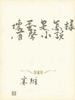 坏蛋是怎样炼成,有声小说