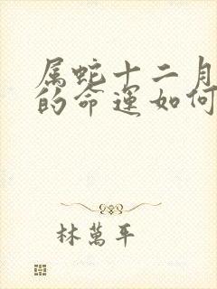 属蛇十二月出生的命运如何