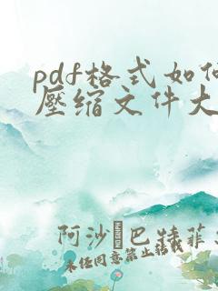 pdf格式如何压缩文件大小