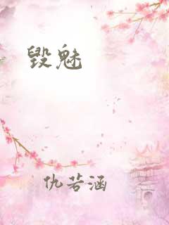 毁魅