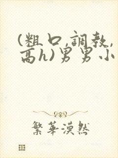 (粗口,调教,高h)男男小说
