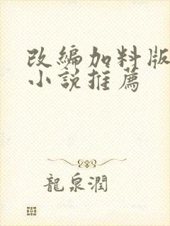 改编加料版同人小说推荐