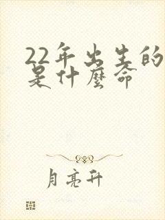 22年出生的虎是什么命