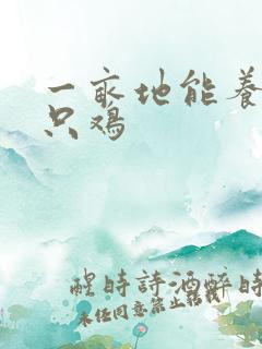 一亩地能养多少只鸡