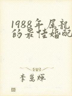 1988年属龙的最佳婚配男