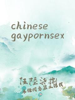 chinesegaypornsex