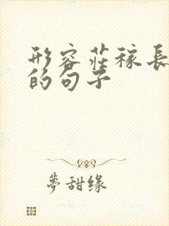 形容庄稼长势好的句子