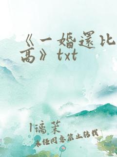 《一婚还比一婚高》txt
