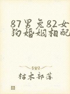 87男兔82女狗婚姻相配好吗