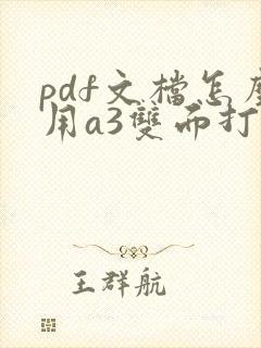 pdf文档怎么用a3双面打印