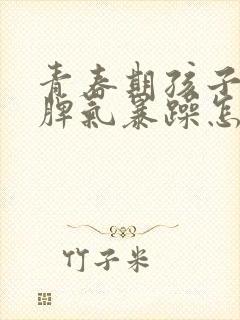 青春期孩子叛逆脾气暴躁怎么管