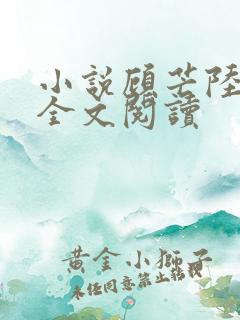 小说顾芒陆承洲全文阅读