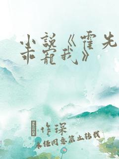 小说《霍先生乖乖宠我》