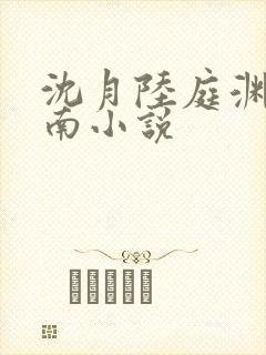 沈月陆庭渊林序南小说