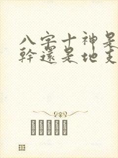 八字十神是看天干还是地支