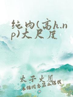 纯肉(高h.np)大尺度