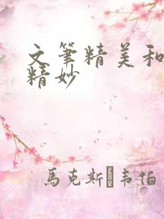 文笔精美和文笔精妙