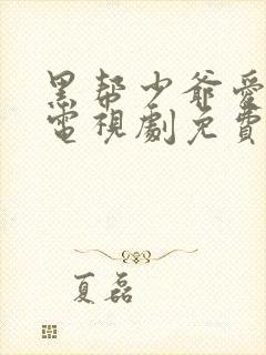 黑帮少爷爱上我电视剧免费观看全集