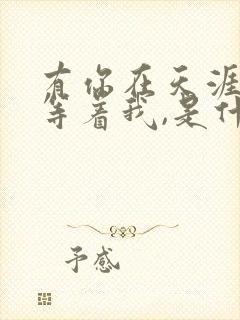 有你在天涯尽头等着我,是什么歌
