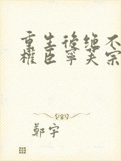 重生后绝不嫁给权臣宁芙宗肆大结局