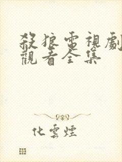 杀狼电视剧免费观看全集