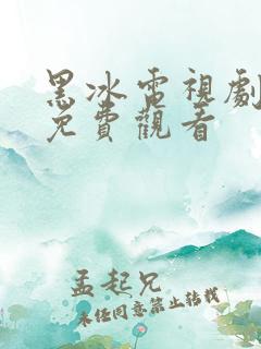 黑冰电视剧全集免费观看