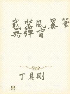 武装风暴笔趣阁无弹窗