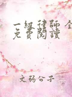 一级律师 全文免费阅读