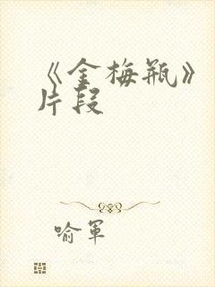 《金梅瓶》床戏片段