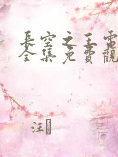 长空之王电视剧全集免费观看