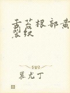 舌苔根部黄腻有裂纹