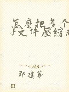 怎么把多个pdf文件压缩成压缩包