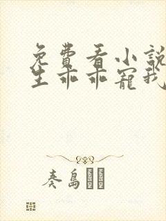 免费看小说霍先生乖乖宠我