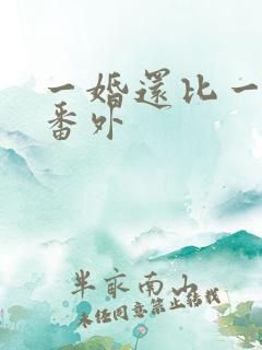 一婚还比一婚高番外