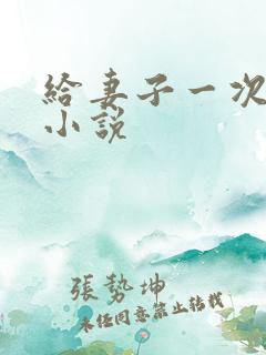 给妻子一次恋爱小说