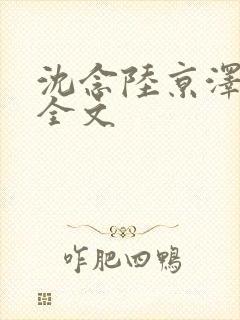 沈念陆京泽阅读全文