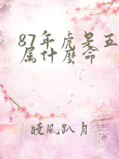 87年虎是五行属什么命