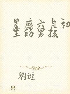 农历六月初二出生的男孩