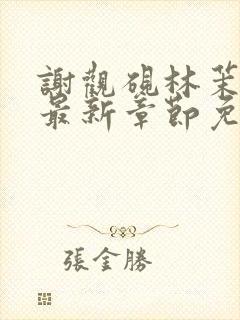 谢观砚林茉小说最新章节免费阅读全文