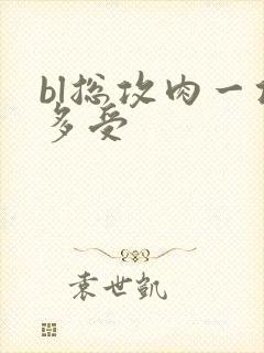 bl总攻肉一攻多受
