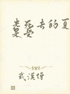 光死去的夏天谁是受