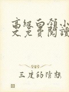高级白领小说全文免费阅读无弹窗