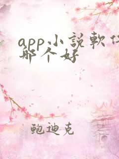 app小说软件哪个好